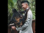 Monkey climbs on groom during photoshoot.(Instagram/@she_saidyes ) Monkey climbs on groom during photoshoot.(Instagram/@she_saidyes )