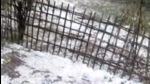 Chief minister Himanta Biswa shared a video of the hailstorm on social media (Twitter Photo) Chief minister Himanta Biswa shared a video of the hailstorm on social media (Twitter Photo)