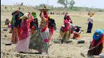 The recommendation assumes importance as many states have demanded the annual cap of 100 days be increased to 150 (PTI) The recommendation assumes importance as many states have demanded the annual cap of 100 days be increased to 150 (PTI)