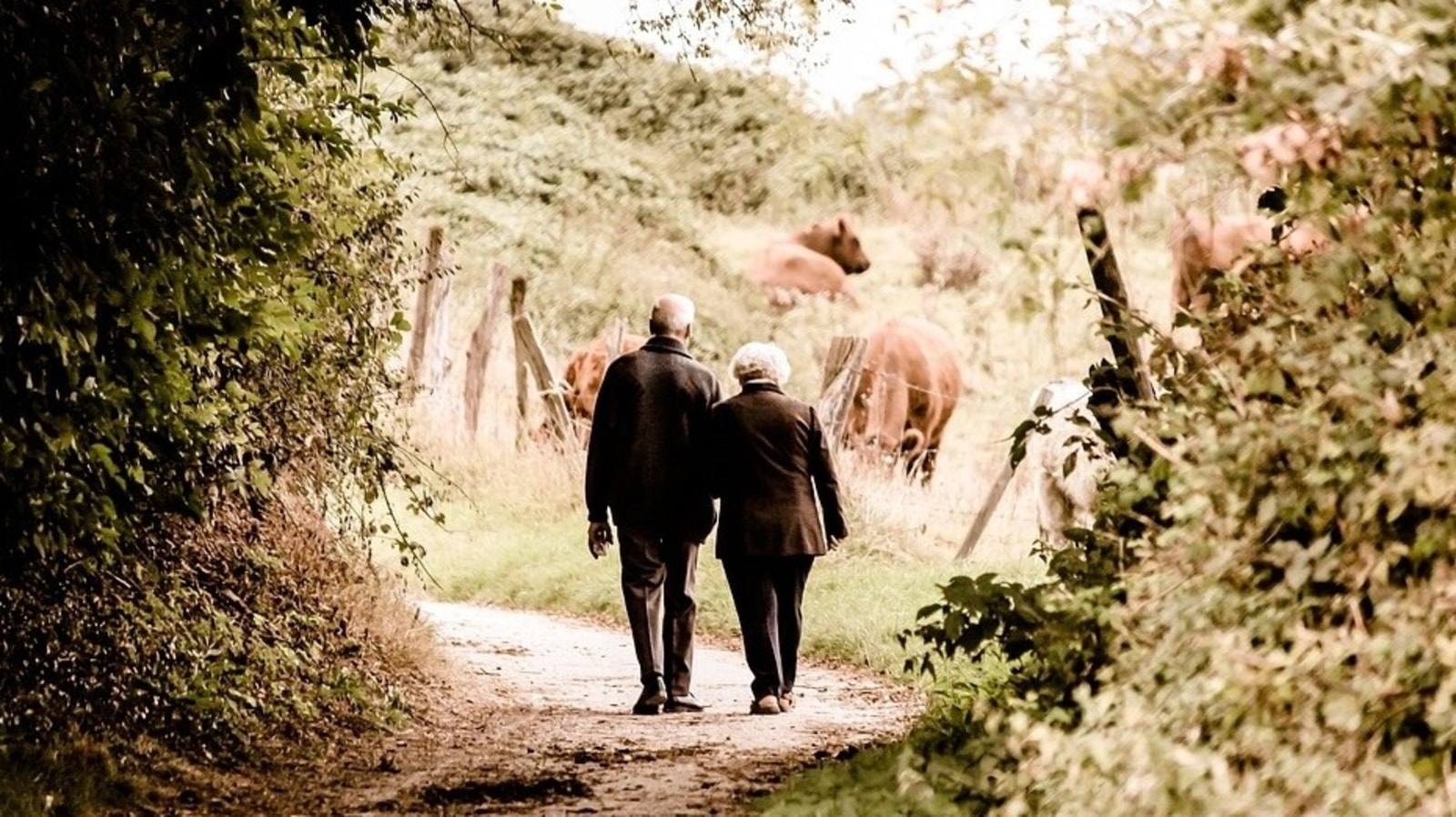 Heart Health: Tips for Preventing Heart Attacks on Early Winter Walks