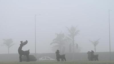 IMD’s seven-day forecast shows Delhi’s maximum will rise to around 18 degrees on Wednesday, to around 19 degrees on Thursday and touch close to 20 degrees by Friday. (Vipin Kumar/HT Photo) IMD’s seven-day forecast shows Delhi’s maximum will rise to around 18 degrees on Wednesday, to around 19 degrees on Thursday and touch close to 20 degrees by Friday. (Vipin Kumar/HT Photo)