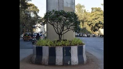 The work on beautification of the medians is underway from PCMC to Khadki, Vanaz to Garware, PCMC to Civil Court, and RTO to Ramwadi (HT PHOTO) The work on beautification of the medians is underway from PCMC to Khadki, Vanaz to Garware, PCMC to Civil Court, and RTO to Ramwadi (HT PHOTO)