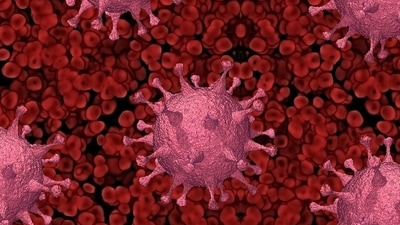 Omicron BF.7: Herd immunity is when a large portion of a population is having antibodies developed either naturally or through vaccines. (Pixabay) Omicron BF.7: Herd immunity is when a large portion of a population is having antibodies developed either naturally or through vaccines. (Pixabay)