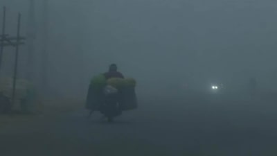 Poor visibility amid thick fog in Punjab's Amritsar on Monday morning. (ANI)