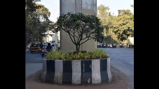 The work on beautification of the medians is underway from PCMC to Khadki, Vanaz to Garware, PCMC to Civil Court, and RTO to Ramwadi (HT PHOTO)