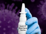 This nasal vaccine will be administered to people twice with the gap of 28 days. (File) This nasal vaccine will be administered to people twice with the gap of 28 days. (File)