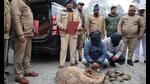 The two accused in the custody of US Nagar police after they recovered 293 turtles from their possession on Tuesday. (HT Photo)