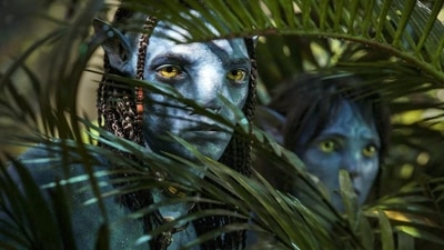 A still from James Cameron's Avatar: The Way of Water. A still from James Cameron's Avatar: The Way of Water.