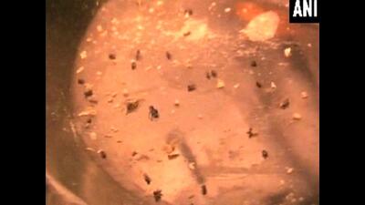 Students protest after worm found in Kurukshetra University’s hostel food (ANI File)