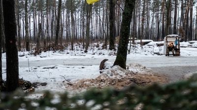 Russia-Ukraine War: A Ukrainian service member is seen at a position near the border with Belarus. (Reuters)
