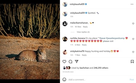 Vicky shared a picture of a leopard. Vicky shared a picture of a leopard.