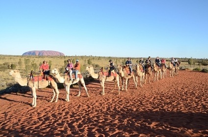 Camel train in Uluru (Sandip Hor) Camel train in Uluru (Sandip Hor)