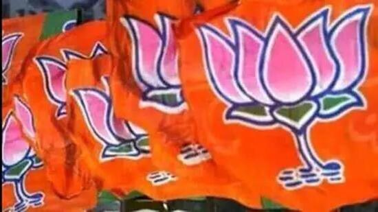 The BJP said Diba Chandra Hrankhawl’s resignation will not affect the party as the BJP is based on performance only and not dependent on any individual. (Representative Image)