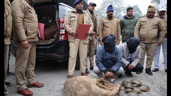 The two accused in the custody of US Nagar police after they recovered 293 turtles from their possession on Tuesday. (HT Photo)