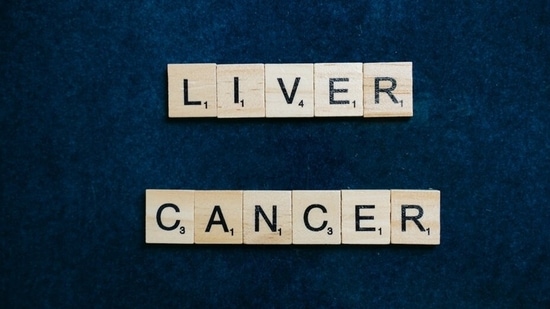 Liver cancer begins in the cells of your liver. It may be primary or secondary liver cancer.(Pixabay)