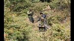 Special Operation Group and Crises Response Team (CRT) of Jammu and Kashmir Police search a forest area in Bajalta, near the location of Wednesday's encounter between terrorists and security forces in which four terrorists were killed, in Jammu on Thursday. (PTI) Special Operation Group and Crises Response Team (CRT) of Jammu and Kashmir Police search a forest area in Bajalta, near the location of Wednesday's encounter between terrorists and security forces in which four terrorists were killed, in Jammu on Thursday. (PTI)