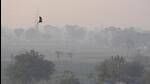The Met dept warned of a cold wave from January 1. (Sanjeev Verma/HT Photo) The Met dept warned of a cold wave from January 1. (Sanjeev Verma/HT Photo)