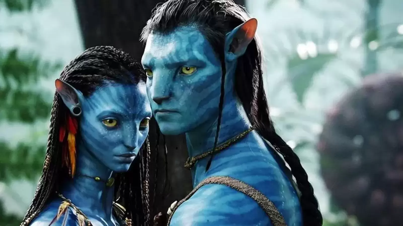 Avatar The Way of Water Box Office Gets Impacted By Pathaan Wave Will  Miss Entering The 400 Crore Club