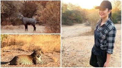 Katrina Kaif and Vicky Kaushal's holiday diaries feature images of themselves along with mesmerising sceneries and exotic animals. (Instagram/@katrinakaif) Katrina Kaif and Vicky Kaushal's holiday diaries feature images of themselves along with mesmerising sceneries and exotic animals. (Instagram/@katrinakaif)