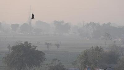 The Met dept warned of a cold wave from January 1. (Sanjeev Verma/HT Photo)