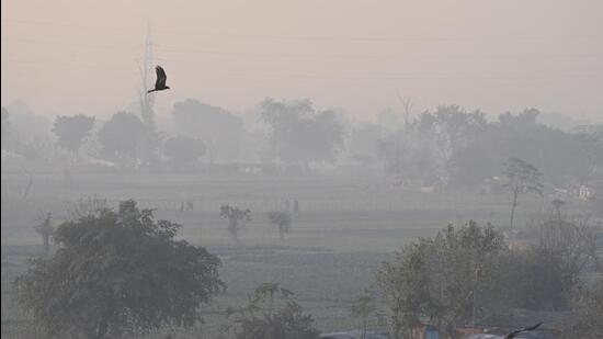 The Met dept warned of a cold wave from January 1. (Sanjeev Verma/HT Photo)