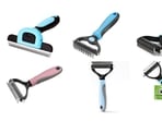  Pet owners should regularly brush their dogs using dematting tools.