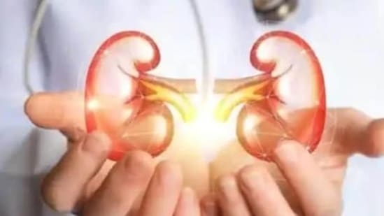 5. Check your kidney - 40% kidney patients don't develop any symptoms, so a 6th monthly simple evaluation of serum creatinine and urine routine can go a long way in keeping you away from&nbsp;kidney&nbsp;disease.&nbsp;(File Photo)