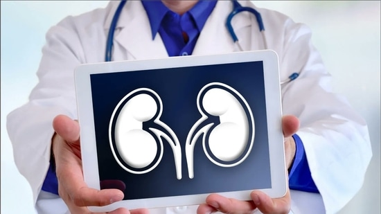 In an interview with HT Lifestyle, Dr Puneet Bhuwania, Consultant Nephrologist and Transplant Physician at Wockhardt Hospitals on Mira Road, suggested the following vital tips to Zarafshan Shiraz and insisted that people should make them as New Year's resolutions to keep their kidneys healthy:&nbsp;(Twitter/NJUrology)