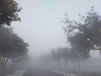 Bengaluru woke up to dense fog on Saturday morning.(@arbindtiwariT/Twitter) Bengaluru woke up to dense fog on Saturday morning.(@arbindtiwariT/Twitter)
