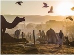 Rajasthan has ‘golden’ Christmas-New Year week with flood of year-end travellers (Instagram/shikhar__saini) Rajasthan has ‘golden’ Christmas-New Year week with flood of year-end travellers (Instagram/shikhar__saini)