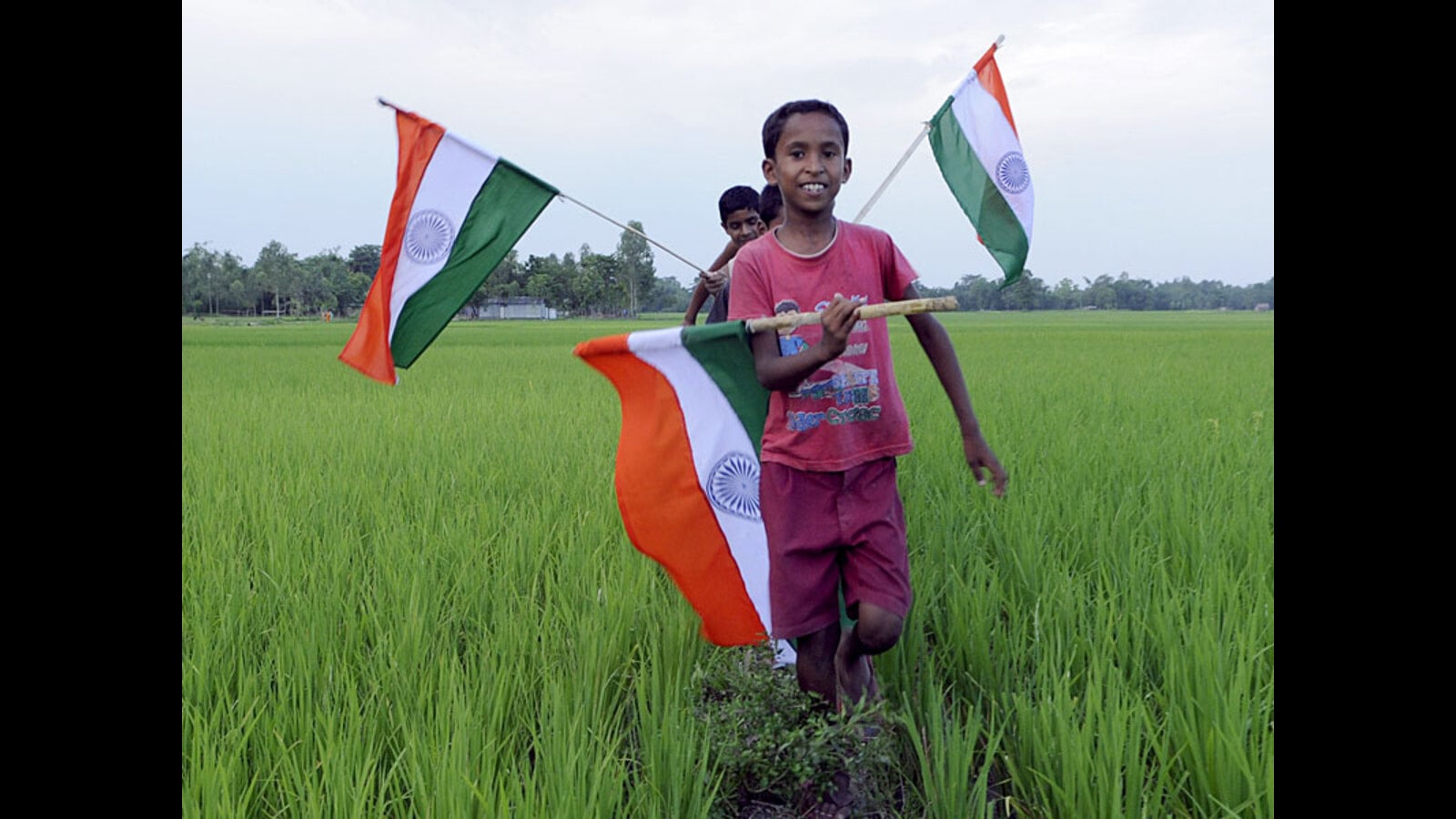 Celebrating unsung freedom fighters