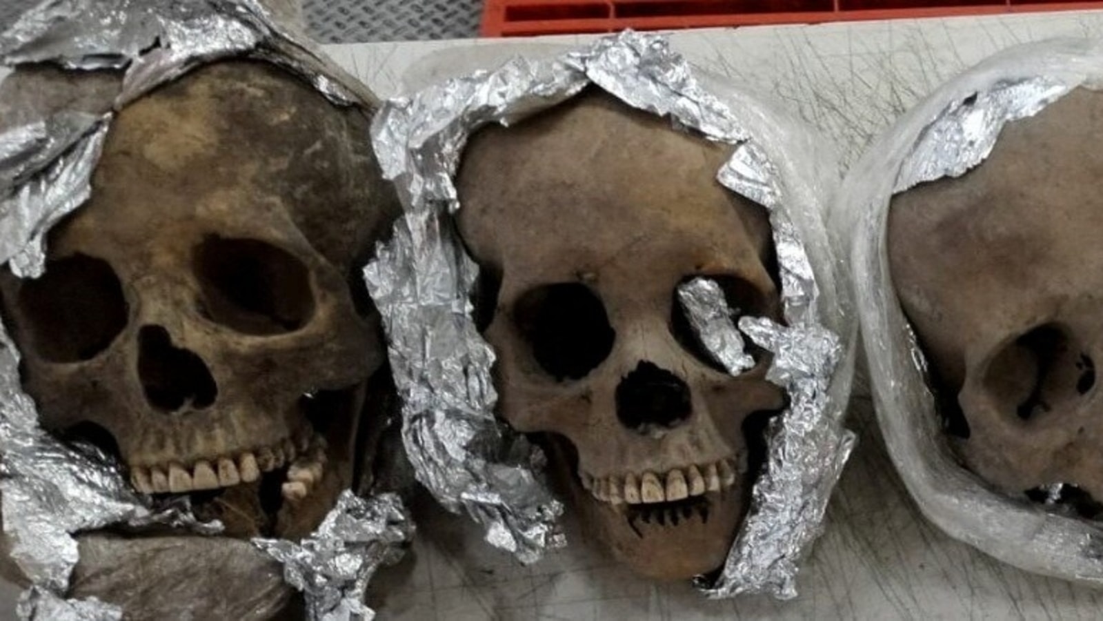 Four human skulls, wrapped in foil, found inside package at Mexico airport