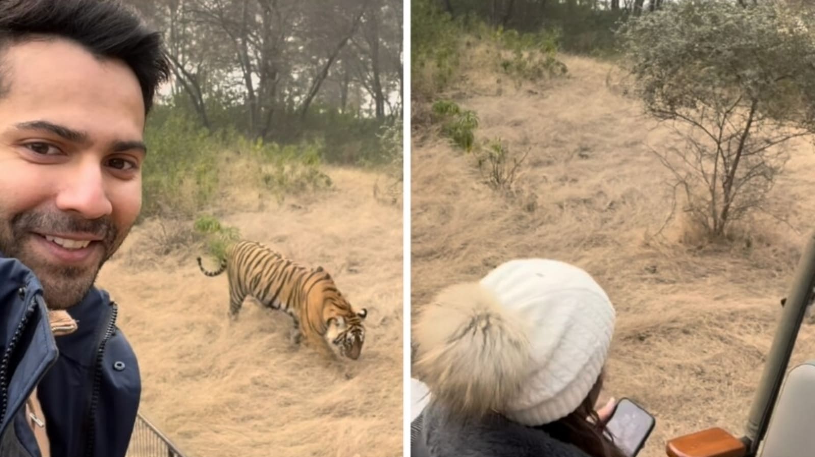 Varun Dhawan goes for jungle safari with wife Natasha Dalal on vacation, shares video: ‘When bhediya met tiger…’