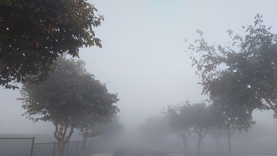 Bengaluru woke up to dense fog on Saturday morning. (@arbindtiwariT/Twitter) Bengaluru woke up to dense fog on Saturday morning. (@arbindtiwariT/Twitter)