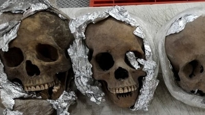 Four human skulls wrapped in plastic and aluminum foil are seen during an inspection by the National Guard inside a package bound for the United States at a courier company located at the Queretaro Intercontinental airport, in Queretaro, Mexico in this photo distributed on December 30. (via REUTERS)