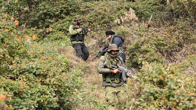 Special Operation Group and Crises Response Team (CRT) of Jammu and Kashmir Police search a forest area in Bajalta, near the location of an encounter between terrorists and security forces. (PTI) Special Operation Group and Crises Response Team (CRT) of Jammu and Kashmir Police search a forest area in Bajalta, near the location of an encounter between terrorists and security forces. (PTI)