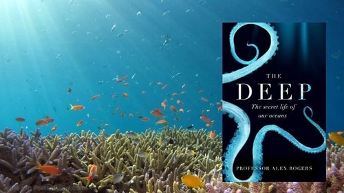 The Deep (BB) The Deep (BB)