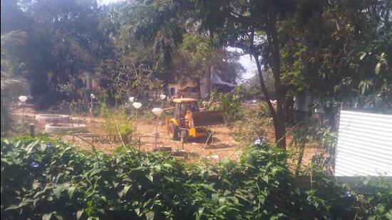 Tree Transplantation - Work on transplanting of 19 trees underway on the premises of the Films Division at Peddar Road on Sunday. - HT Photo 13.02.11 (HT PHOTO) Tree Transplantation - Work on transplanting of 19 trees underway on the premises of the Films Division at Peddar Road on Sunday. - HT Photo 13.02.11 (HT PHOTO)