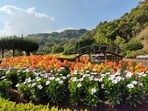 Flower festival in rural Assam attracts tourists