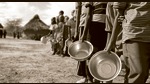 The United Nations has said that 48 million people in West and Central Africa could be hungry in 2023 due to the reduction in farm productivity (Shutterstock) The United Nations has said that 48 million people in West and Central Africa could be hungry in 2023 due to the reduction in farm productivity (Shutterstock)