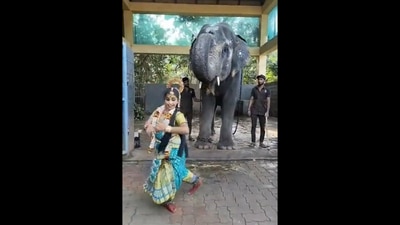 Anand Mahindra shares video of an Elephant blessing a dancer. (Twitter/@Anand Mahindra) Anand Mahindra shares video of an Elephant blessing a dancer. (Twitter/@Anand Mahindra)