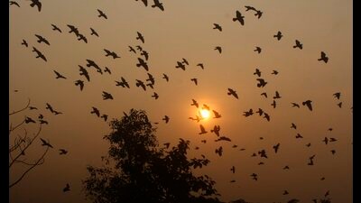 Internally, assembly elections in nine states will dominate domestic politics and set the momentum for the general elections in 2024. (PTI) Internally, assembly elections in nine states will dominate domestic politics and set the momentum for the general elections in 2024. (PTI)