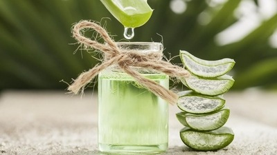 Aloe vera juice: According to studies aloe vera juice help reduce symptoms like belching, flatulence, nausea, vomiting, heartburn and acid reflux. Drink 2 glasses of fresh aloe vera juice every day. (iStock) Aloe vera juice: According to studies aloe vera juice help reduce symptoms like belching, flatulence, nausea, vomiting, heartburn and acid reflux. Drink 2 glasses of fresh aloe vera juice every day. (iStock)