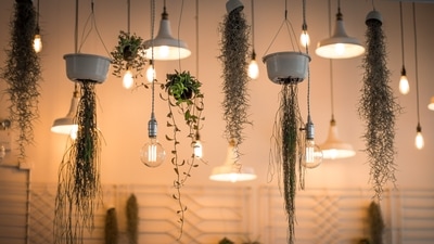Conventional lighting systems currently in use are reaching their twilight years. Efficiency and user-defined flexibility lights will make living and working areas brighter and more energy-efficient. (Unsplash) Conventional lighting systems currently in use are reaching their twilight years. Efficiency and user-defined flexibility lights will make living and working areas brighter and more energy-efficient. (Unsplash)
