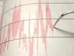 Indonesia Earthquake: No casualties have been reported so far. (Representational) Indonesia Earthquake: No casualties have been reported so far. (Representational)