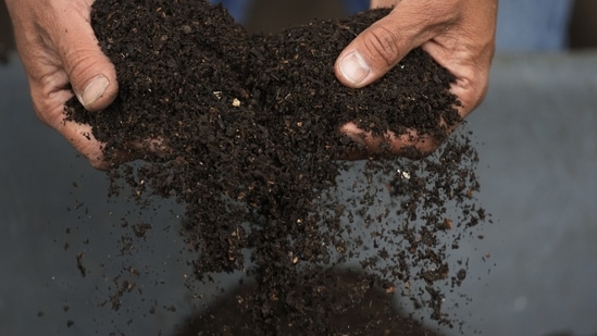 New York Human Composting: New York approves composting of human bodies.(AP)