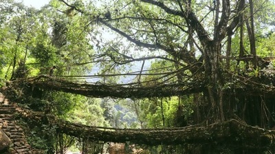 Mawlynnong Village, Meghalaya:&nbsp;Asia's cleanest village is Mawlynnong Village, which is situated deep within the East Khasi Hills. Mawlynnong is also known as God's own Garden and has been recognised as a UNESCO World Heritage Site. The bridge there has a single root and is 1,000 years old. Other attractions in this area include a balancing rock and a view of the border between India and Bangladesh from above. (Instagram/@wanderlartist)