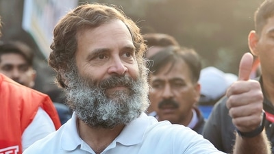 Congress MP Rahul Gandhi Congress MP Rahul Gandhi