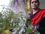 Nirbhaya's mother Asha Devi requests authorities to support Anjali's family financially.