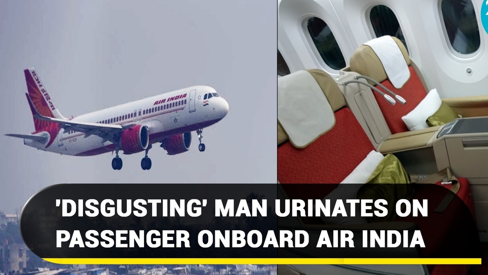 APPALLING! Business class passenger urinates on a woman inside Air ...